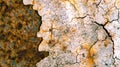 Texture of cracked and rusty metal surface. Royalty Free Stock Photo