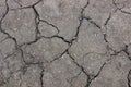 Texture cracked soil Royalty Free Stock Photo