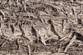 The texture of the cracked wood fibers and chips Royalty Free Stock Photo