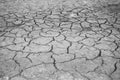 The texture of the cracking of the earth. Black and white image