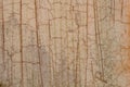 Texture with craquelure Royalty Free Stock Photo