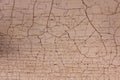 Texture with craquelure Royalty Free Stock Photo