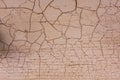 Texture with craquelure Royalty Free Stock Photo
