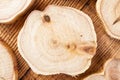 Texture of cross section juniper wood. Pattern of tree stump background. Circles slice of juniper. Royalty Free Stock Photo