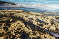 Texture of crude oil spill on sand beach from oil spill accident, Agios Kosmas bay, Athens, Greece, September 14 2017.