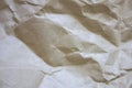 Texture of crumpled cardboard. Lightly textured background