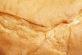The texture of the crust of bread. Tasty fresh bread, close up
