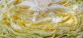 The texture of the cut cabbage reveals the inner leaf layers. Royalty Free Stock Photo