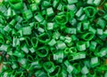 Texture from Cut Green Onion,Nature Background,Healthy Organic Life Royalty Free Stock Photo