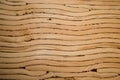 texture of cut of laminated veneer lumber Royalty Free Stock Photo
