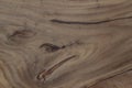 Texture of a cut old tree wood. Royalty Free Stock Photo
