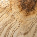 texture cut of old wood transverse Royalty Free Stock Photo
