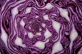 Texture of cut red cabbage as background Royalty Free Stock Photo