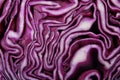 Texture of cut red cabbage as background Royalty Free Stock Photo