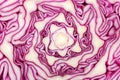 Texture of cut red cabbage, closeup Royalty Free Stock Photo