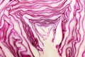 Texture of cut red cabbage, closeup Royalty Free Stock Photo