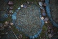 Texture cut of tree. The stump on the ground is covered with pine needles and leaves. Royalty Free Stock Photo