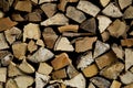 Texture cuts of firewood prepared for the winter heating season close-up