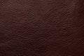 Texture of dark brown leather as background Royalty Free Stock Photo