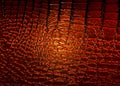 Texture dark brown patent leather crocodile