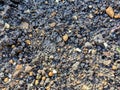 Texture of dark brown soil with small white, orange, gray and black pebbles Royalty Free Stock Photo