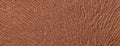 Texture of dark brown woolen textile background from soft wool material, macro. Structure of umber fabric Royalty Free Stock Photo