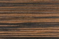 Texture of dark ebony wood. Dark natural background.