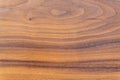 Texture Dark oak with natural wood grain patterns. Smooth wooden surface for the design of facades and floors. Clear polish. Ash Royalty Free Stock Photo