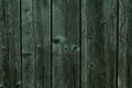 Texture of dark shabby gray green wood. Wood plank grey texture background. Background of shabby dark gray wooden boards. Dirty wo