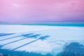 The shadows of palm trees on the salty shore of the Dead Sea