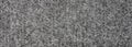 The texture of a dense gray carpet.Grey carpet background.