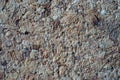 Texture in detail, beige cork material