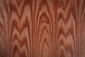 Texture and detail of old plywood Royalty Free Stock Photo