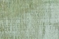 Texture, detail of an old wooden board painted green Royalty Free Stock Photo