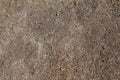 Texture of  detailed view on sandy ground surfaces Royalty Free Stock Photo