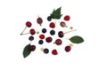 Texture from different berries on a white background.