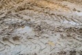 Texture of a dirty bad dirt road dirt road with puddles and clay drying mud with cracks and ruts. Off-road. The background Royalty Free Stock Photo