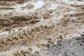 Texture of a dirty bad dirt road dirt road with puddles and clay drying mud with cracks and ruts. Off-road. The background Royalty Free Stock Photo