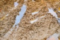 Texture of a dirty bad dirt road dirt road with puddles and clay drying mud with cracks and ruts. Off-road. The background Royalty Free Stock Photo