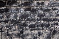 Texture of dirty brick wall. Brickwork textured by grey tar dirt . Royalty Free Stock Photo