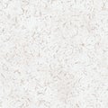 Texture Dirty Snow. background high quality Royalty Free Stock Photo