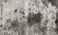 Texture.Distressed halftone grunge vector texture grunge texture, rough ragged dark background, plaster stucco wall.