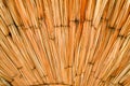 Texture of dried beautiful yellow straw, hay, twigs in the form of a fan. The background. Royalty Free Stock Photo