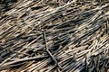 Texture of dried cane