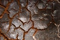 Texture of dried cocoa beverage macro