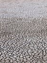 Texture of dried crack thick mud earth floor of a shrimp farm pond