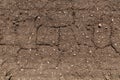 Texture of dried cracked earth because of no rain and drought season Royalty Free Stock Photo