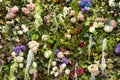 Texture of dried flowers. A wall of roses. Place for photography against the background of cut flower buds