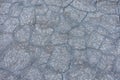 Texture of dried gray mud, dried earth Royalty Free Stock Photo