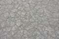 Texture of dried gray mud, dried earth Royalty Free Stock Photo